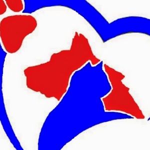 Meet your Posher, Korinne